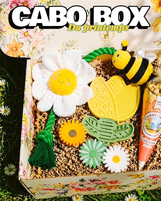 CaboBox du printemps 🌸