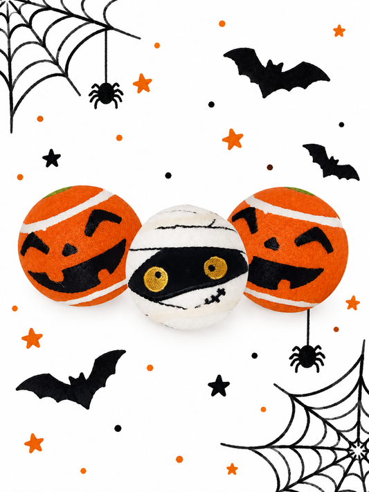 Balles pour chiens Halloween