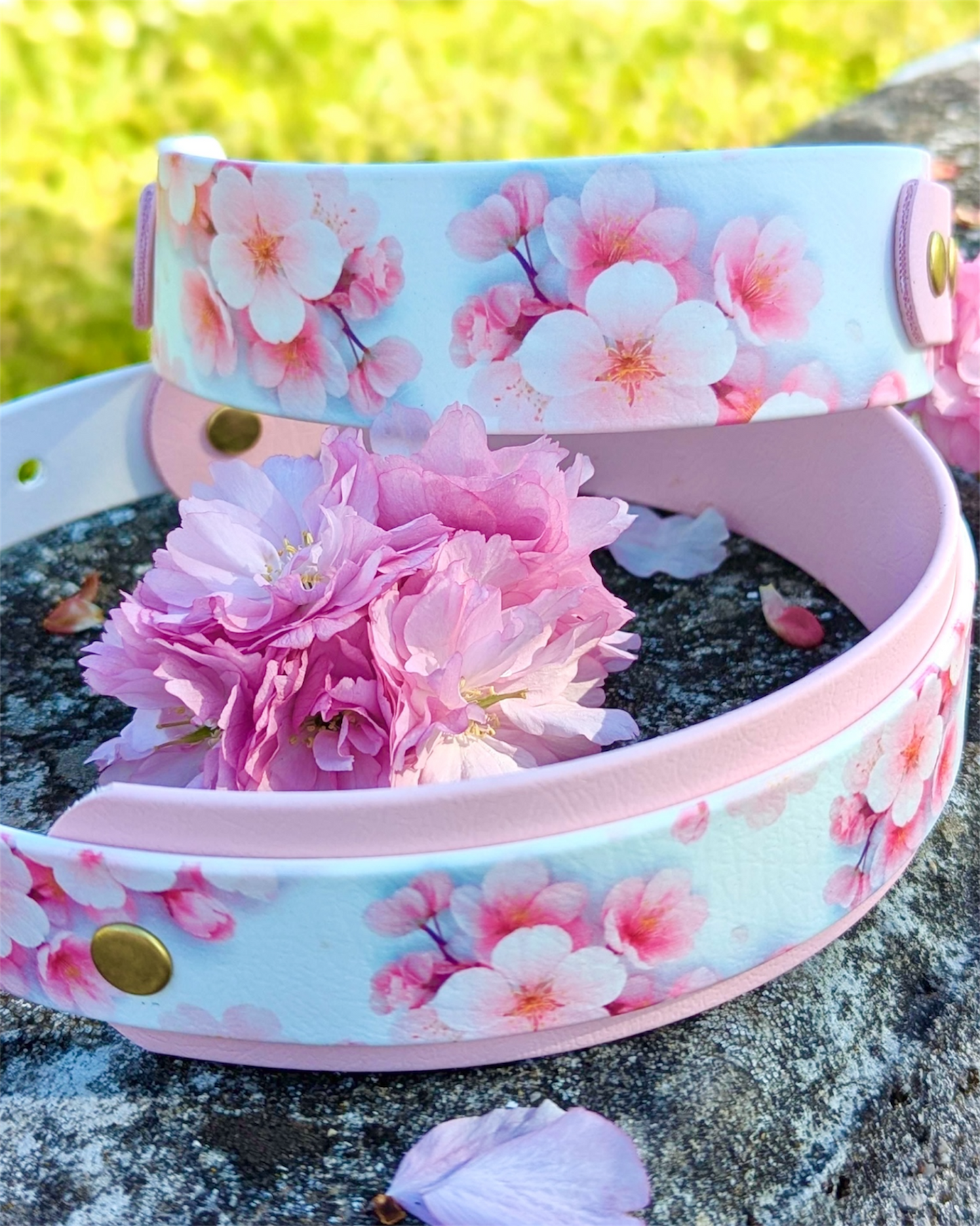 Collier chien Sakura 🌸