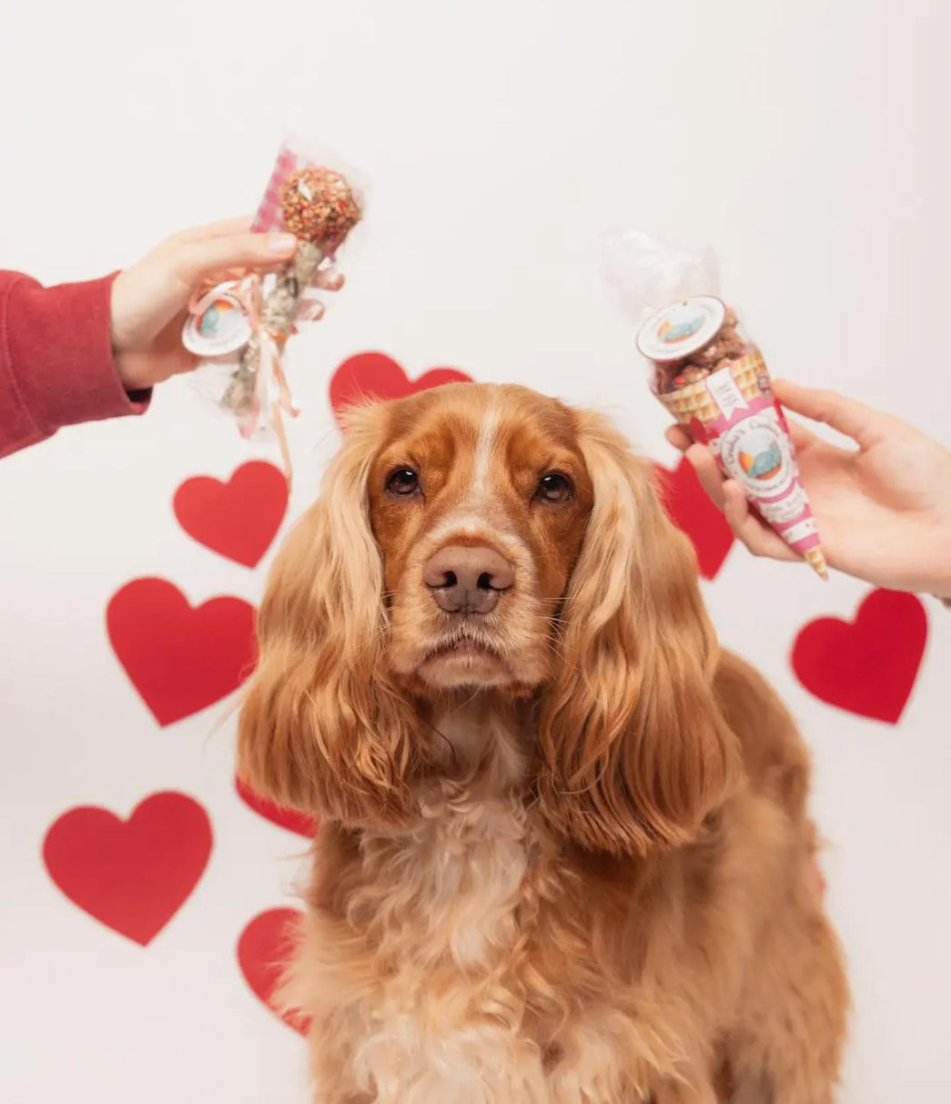 Friandises Naturelles et croustillantes pour chiens Cooka's Cookies-Pink Kisses 💕💝