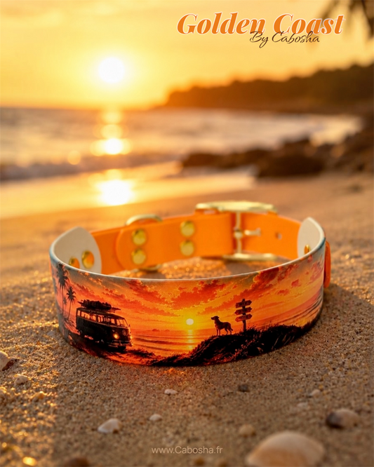 Collier chien Golden Coast 🌅