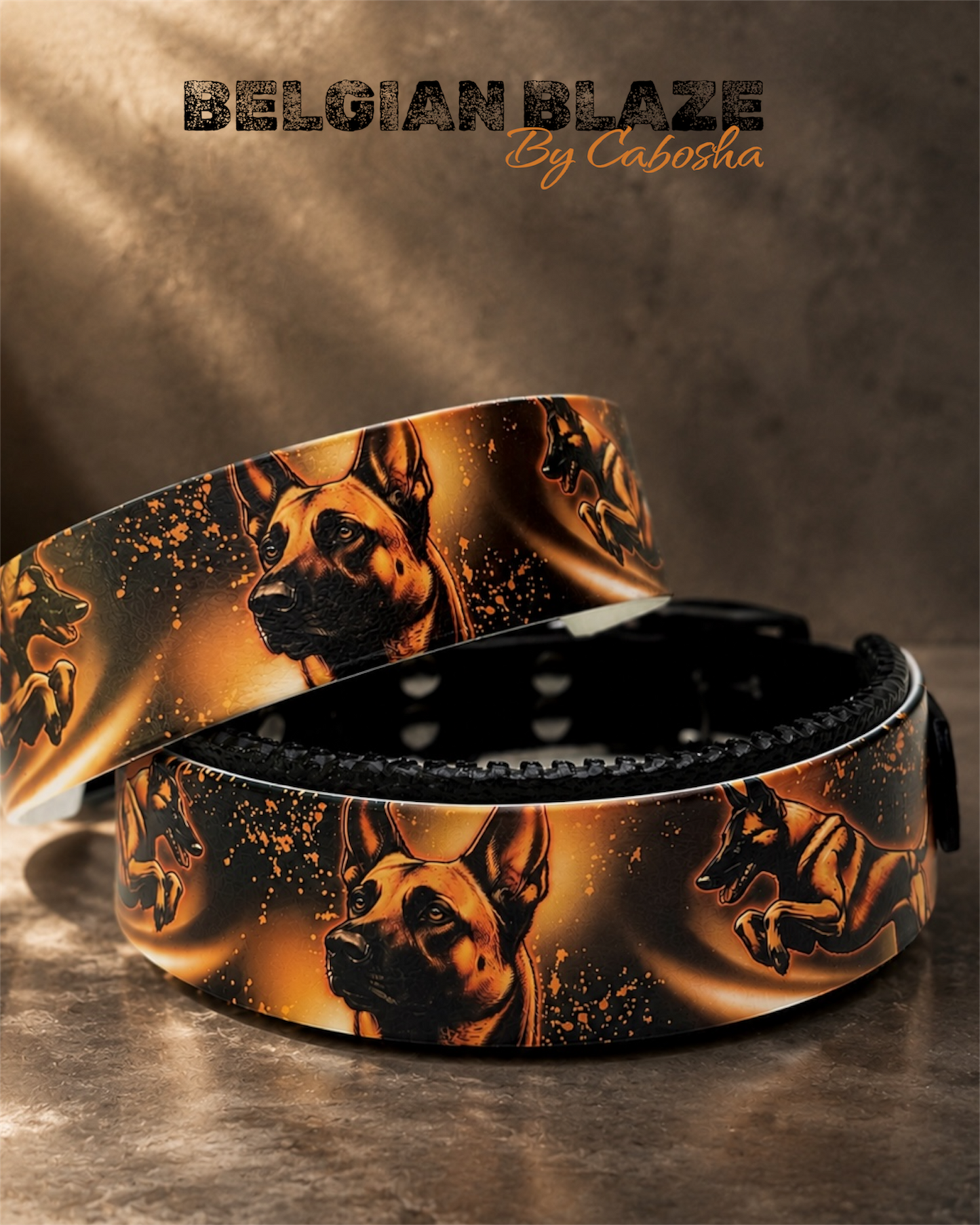 Collier chien Belgian Blaze 🔥