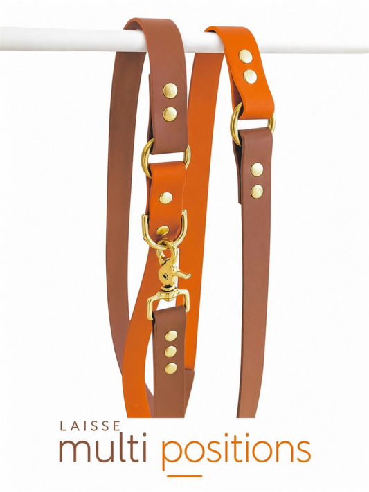 Laisse multi positions