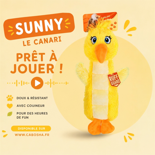 Jouet chien Sunny le Canari