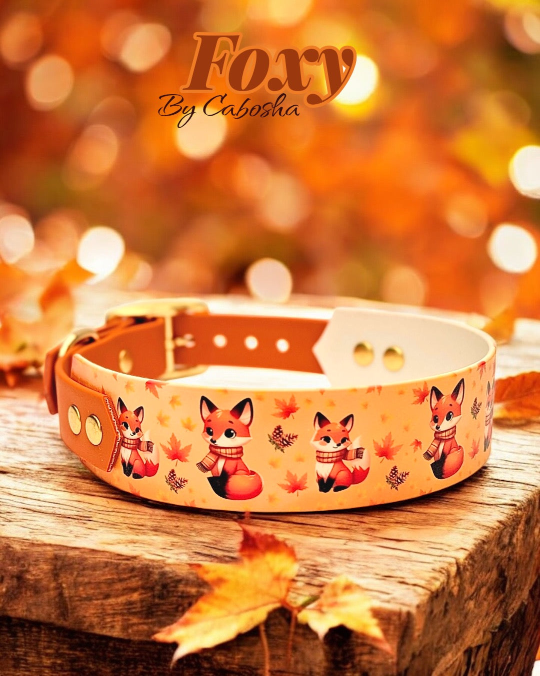 Collier chien Foxy Fall 🦊🍂