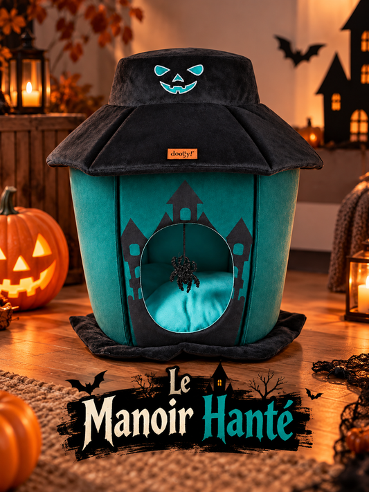 Le manoir hanté phosphorescent pour chat ou petits chiens