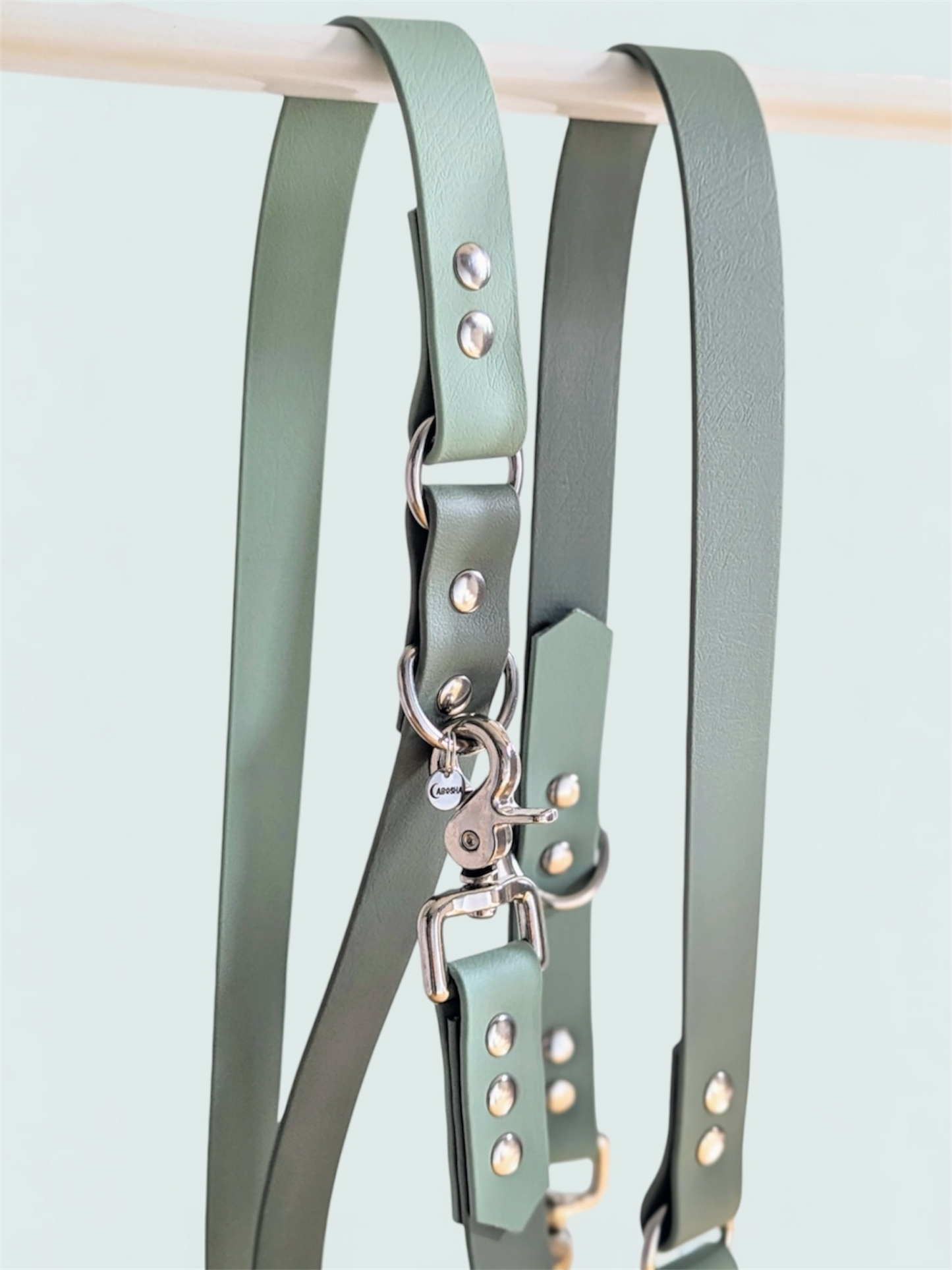 Laisse multi positions