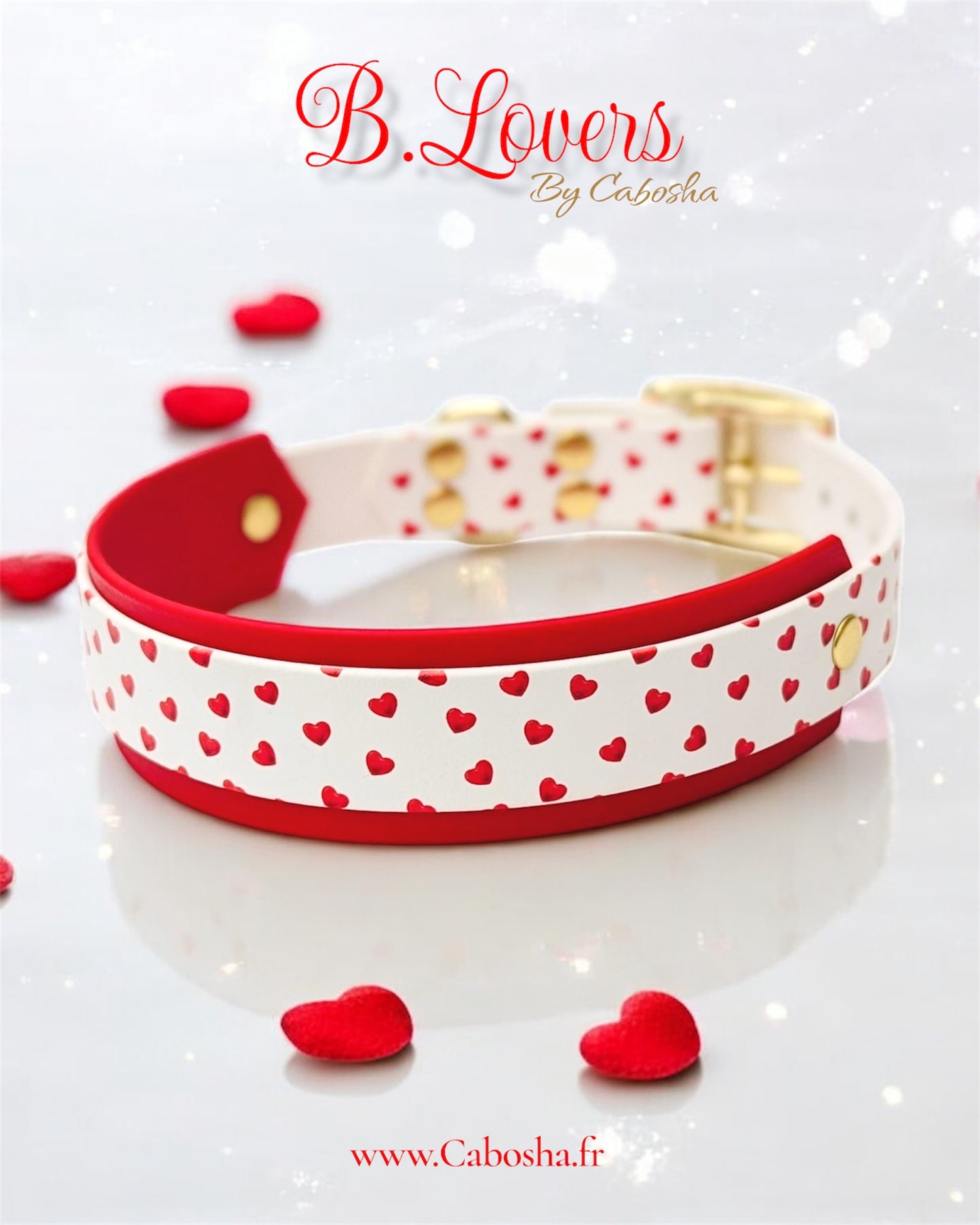 Collier chien B.lovers