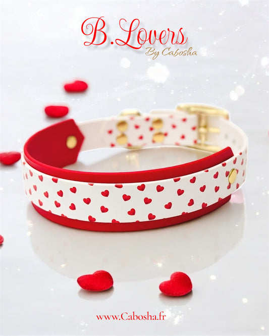 Collier chien B.lovers